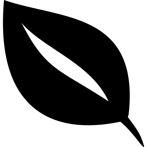Petrol+CNG Fuel Type